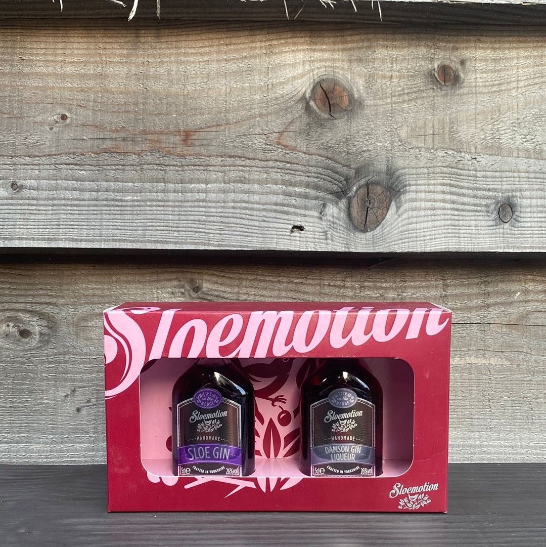 Sloemotion Gin Gift Set 2 x 5cl 26%